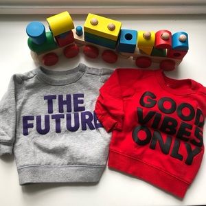 Unisex sweatshirt bundle 12 mo